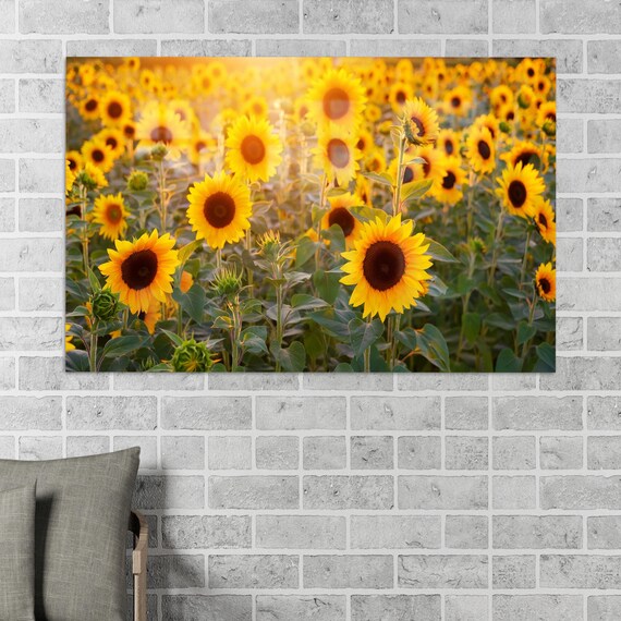 Minimalist Wall Art Sunflower Decor Kitchne Glass View Farm Custom Printing