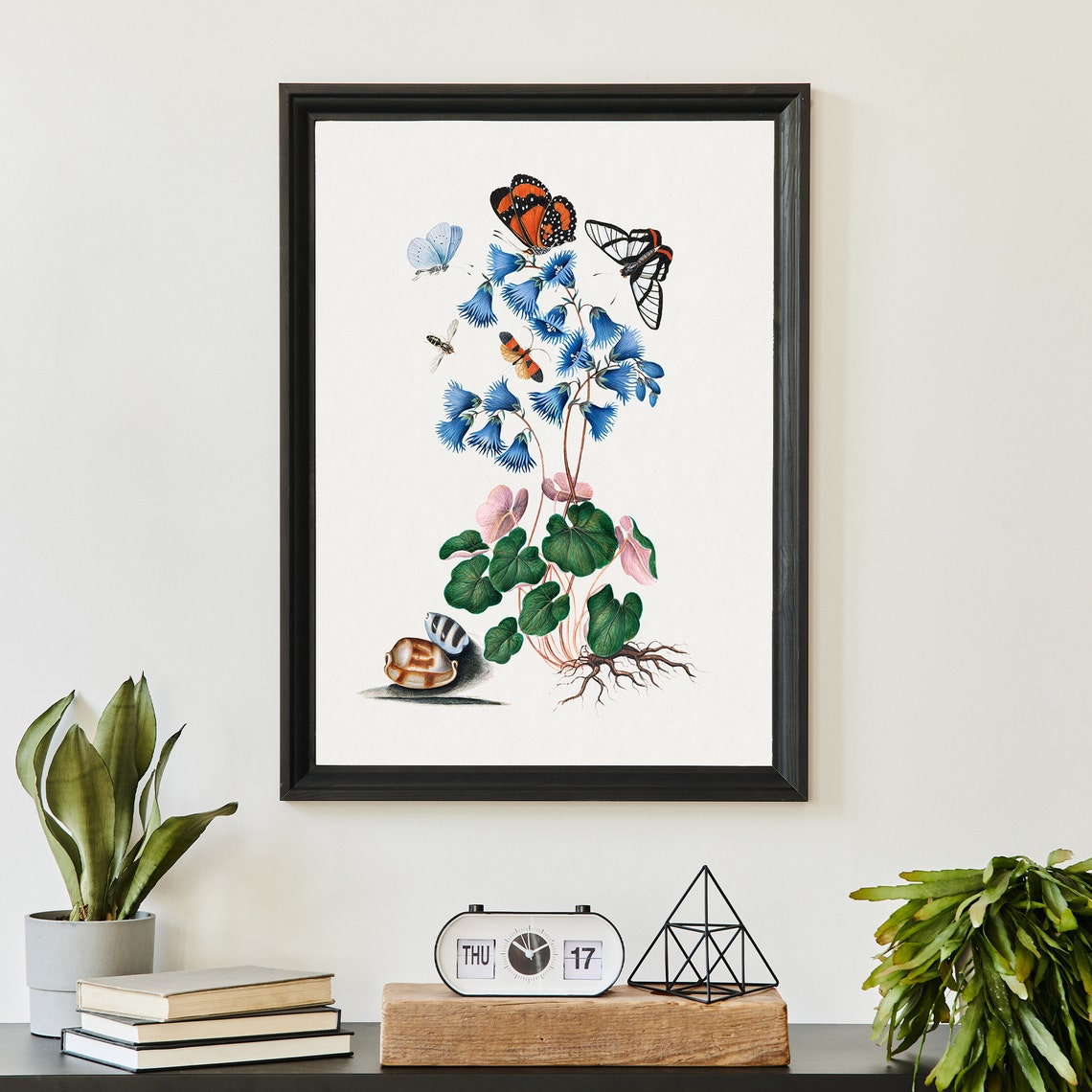 Vintage Botanical Blue Bellflower Butterfly Natural History Art Poster - Image 3