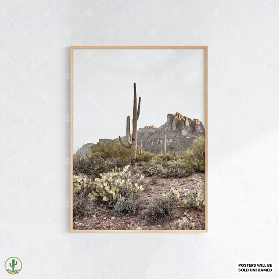 Southwest Desert Cactus Landscape Saguaro Prickly Pear Art Photo Poster