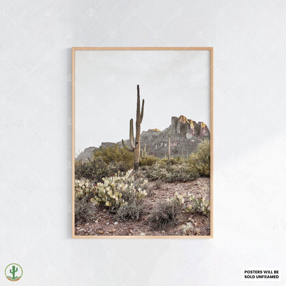 Southwest Desert Cactus Landscape Saguaro Prickly Pear Art Photo Poster