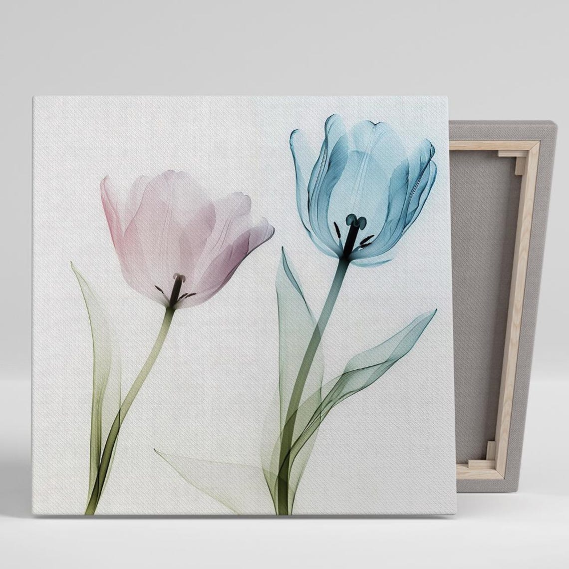 Pink Blue Tulips X Ray Translucent Style Delicate Floral Poster