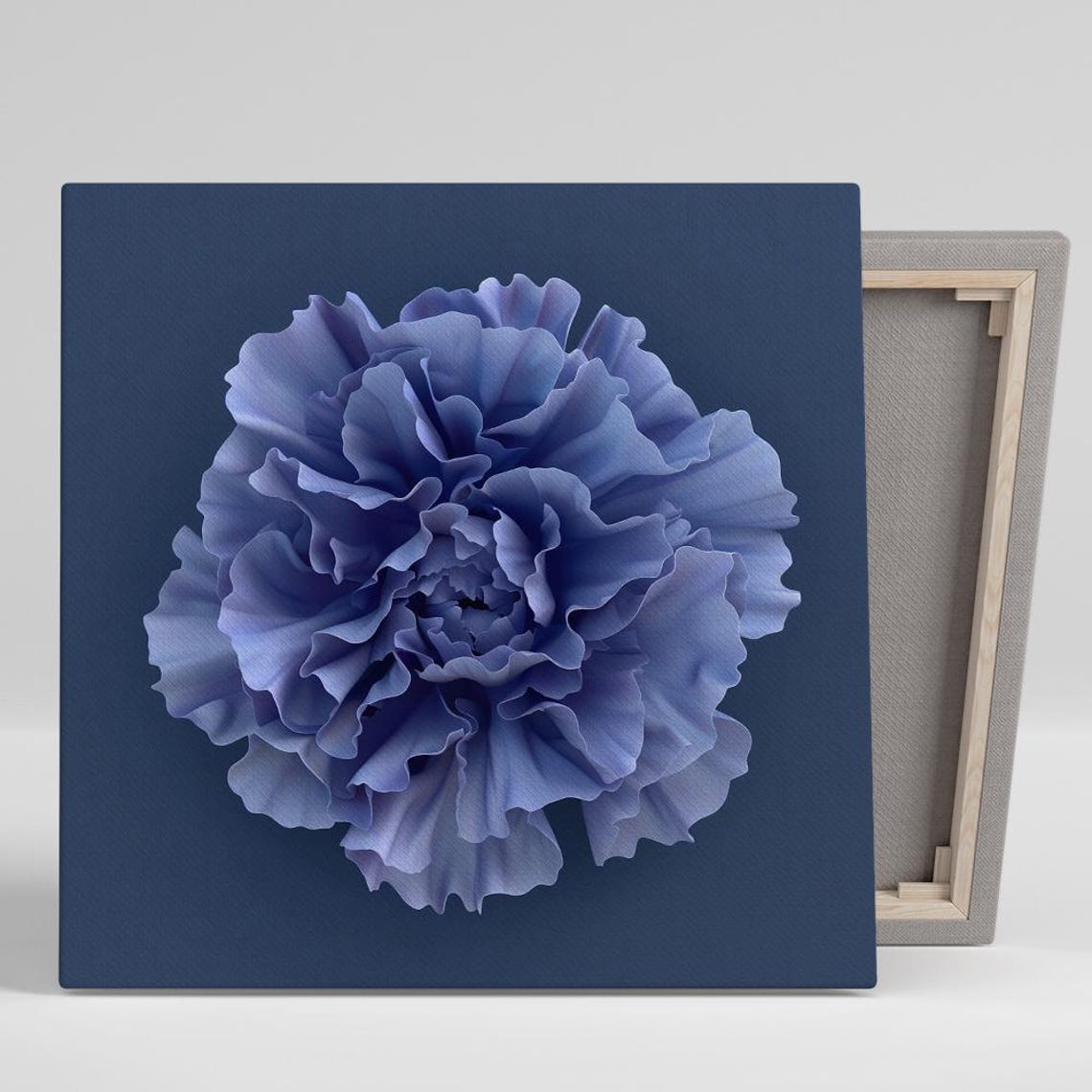 Blue Purple Carnation Macro Bloom Navy Background Minimalist Poster