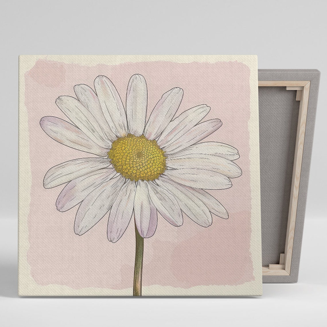 White Daisy Yellow Center Blush Pink Background Botanical Art Poster