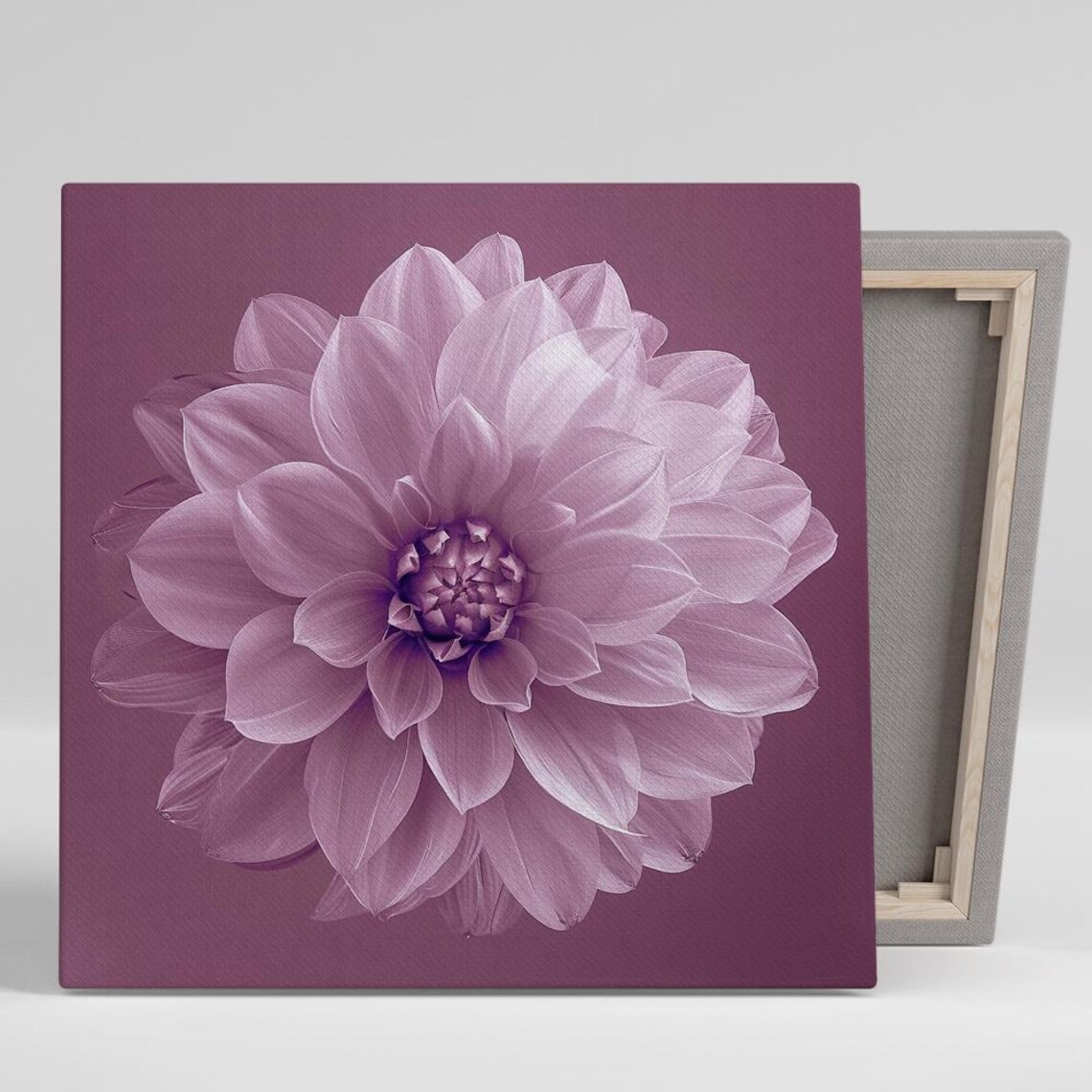 Mauve Dahlia Blossom Macro Close Up On Deep Plum Floral Canvas Poster