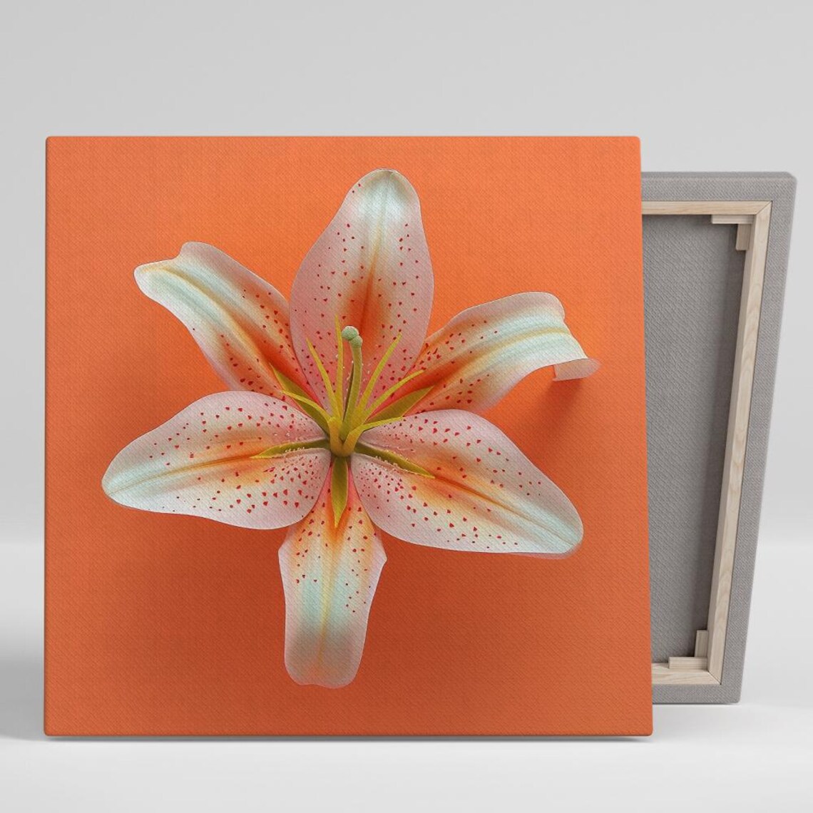 Orange Tiger Lily Macro Bold Orange Background Floral Close Up Poster