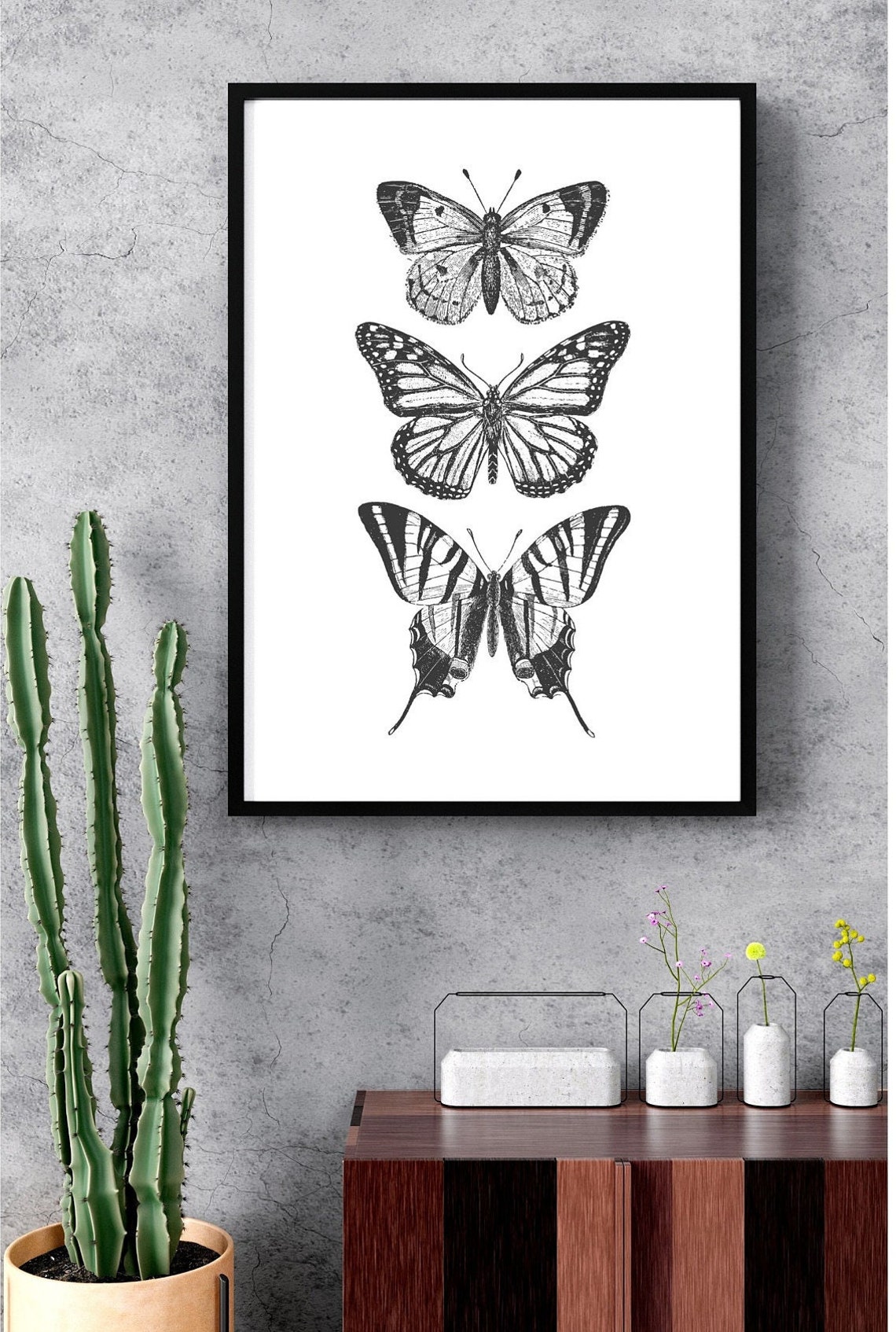Three Butterfly Engraving Illustrations Vintage Entomology Poster - Image 2