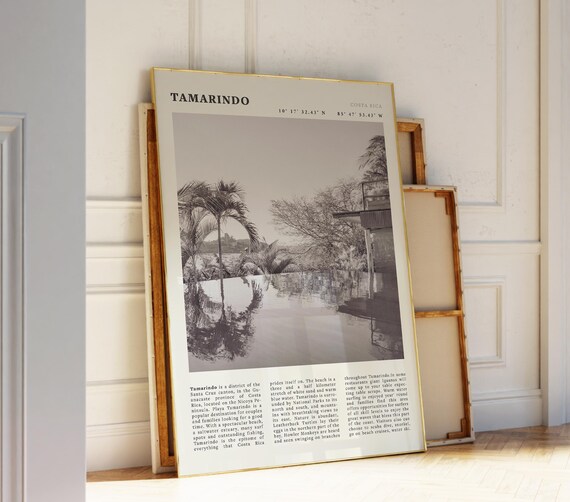 Tamarindo Costa Rica Palm Beach Black And White Surf Coast Poster