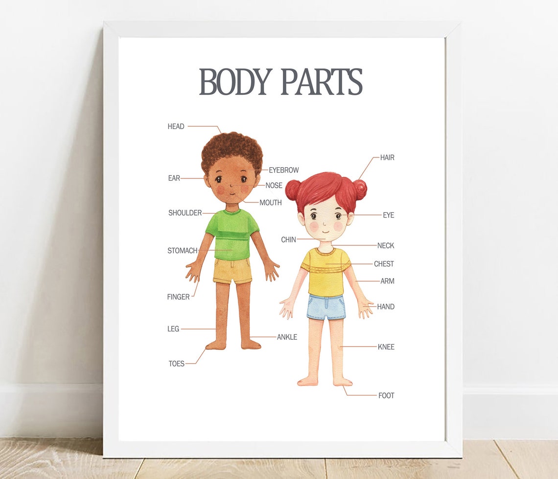 Kids Body Parts Educational Learning Chart Anatomy Wall Poster