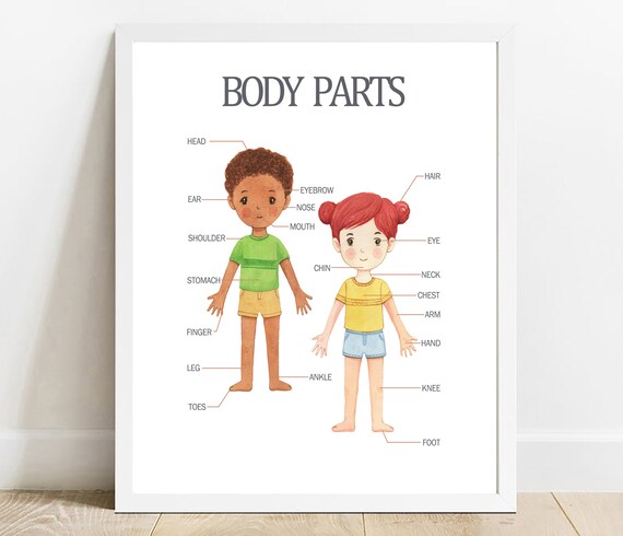 Kids Body Parts Educational Learning Chart Anatomy Wall Poster