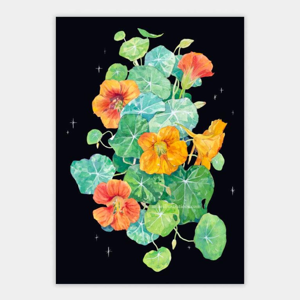 Garden Nasturtium Orange Yellow Blossom Watercolor Flower Poster - Image 3