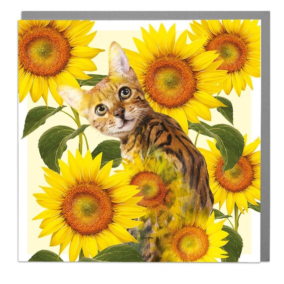 Bengal Cat Peeking Through Sunflowers Blank Art Greeting Card Print