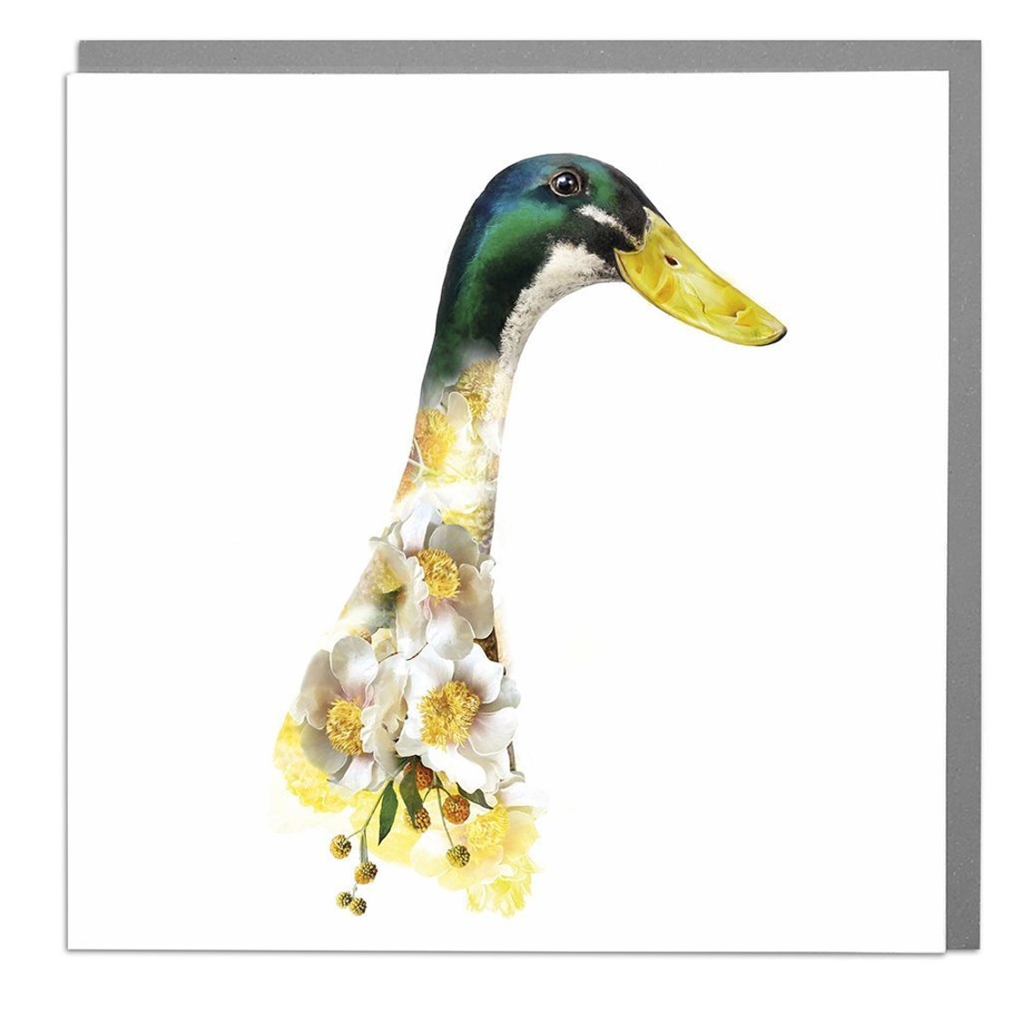 Indian Runner Duck Blank Greeting Card