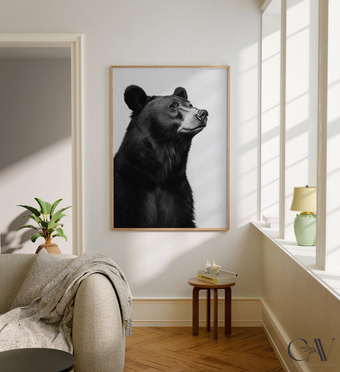 Black and White Black Bear Portrait Gazing Up Photography Poster - Image 2