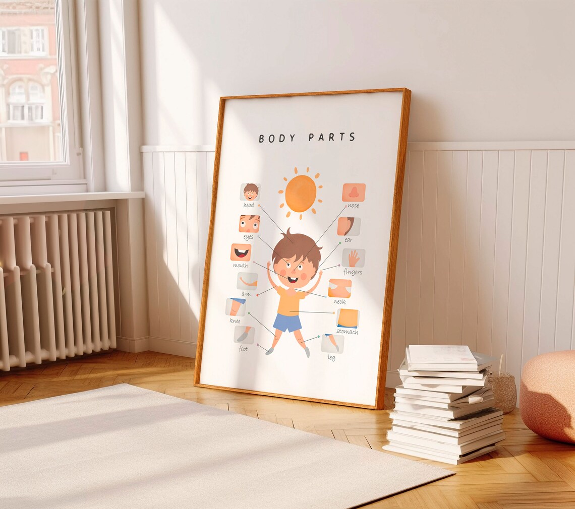 Body Parts Educational Poster, Nursery Classroom Decor - Image 4