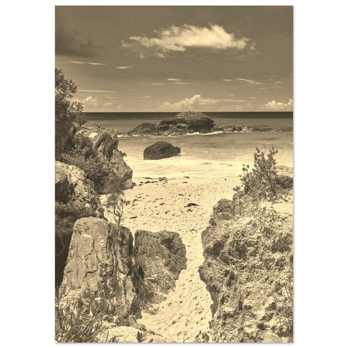Bermuda Rocky Beach Sepia Vintage Travel Photo Coastal Poster