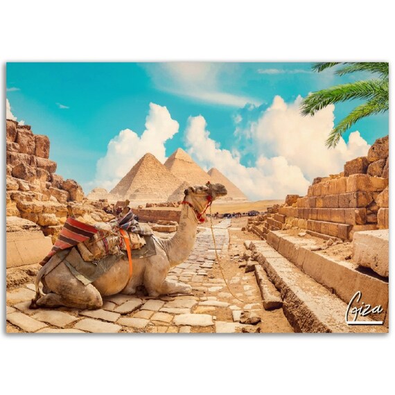 Giza Pyramids Resting Camel Egypt Travel Photography Desert Poster