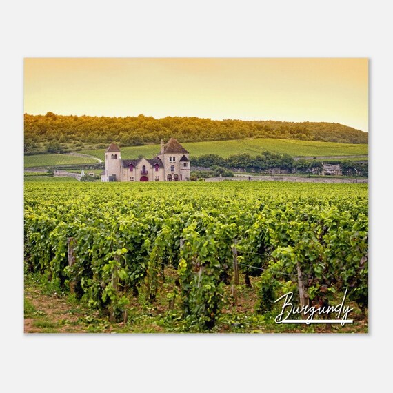 Burgundy France Vineyard Chateau Sunset Wine Country Travel Poster