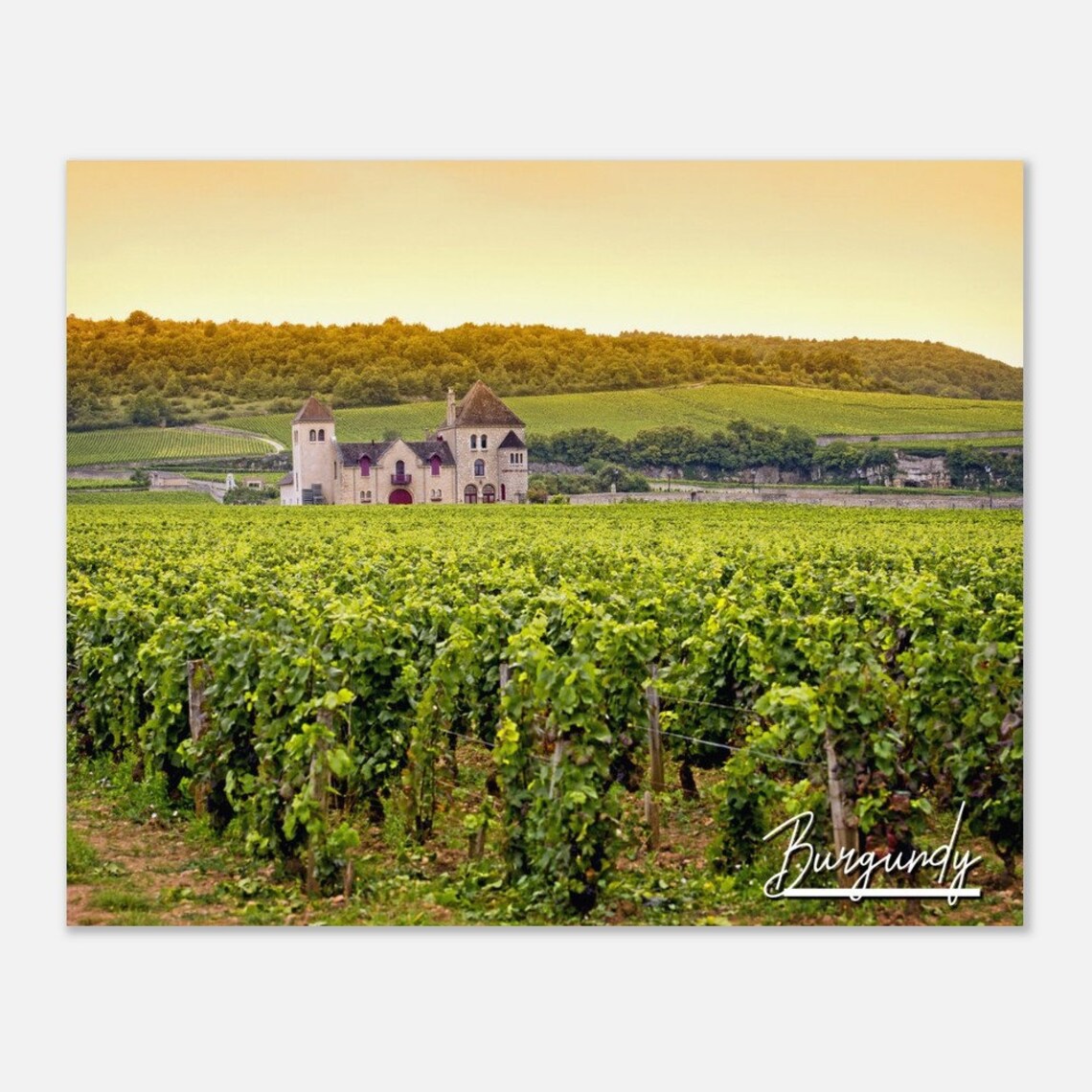 Burgundy France Vineyard Chateau Sunset Wine Country Travel Poster