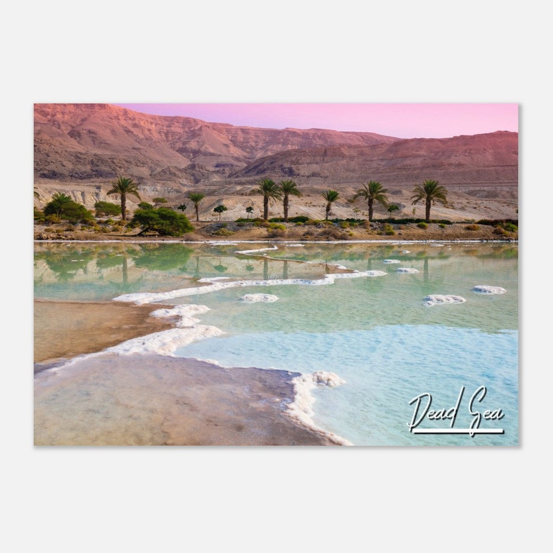 Dead Sea Salt Formations Palm Trees Pink Mountains Travel Poster