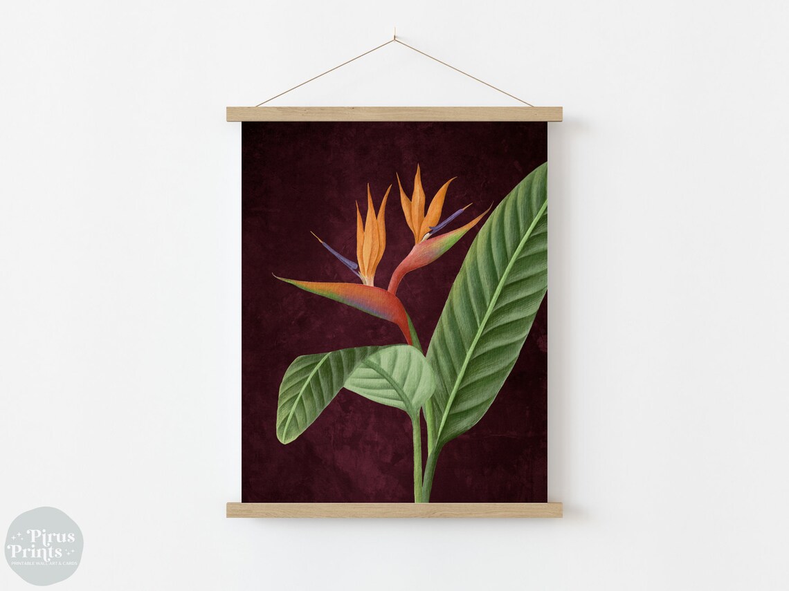 Dramatic Bird Of Paradise Botanical Burgundy Vintage Wall Art - Image 3