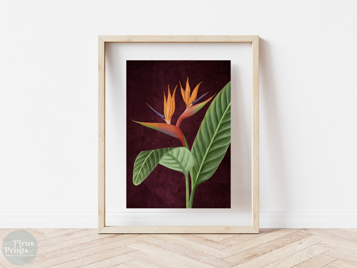 Dramatic Bird Of Paradise Botanical Burgundy Vintage Wall Art - Image 5