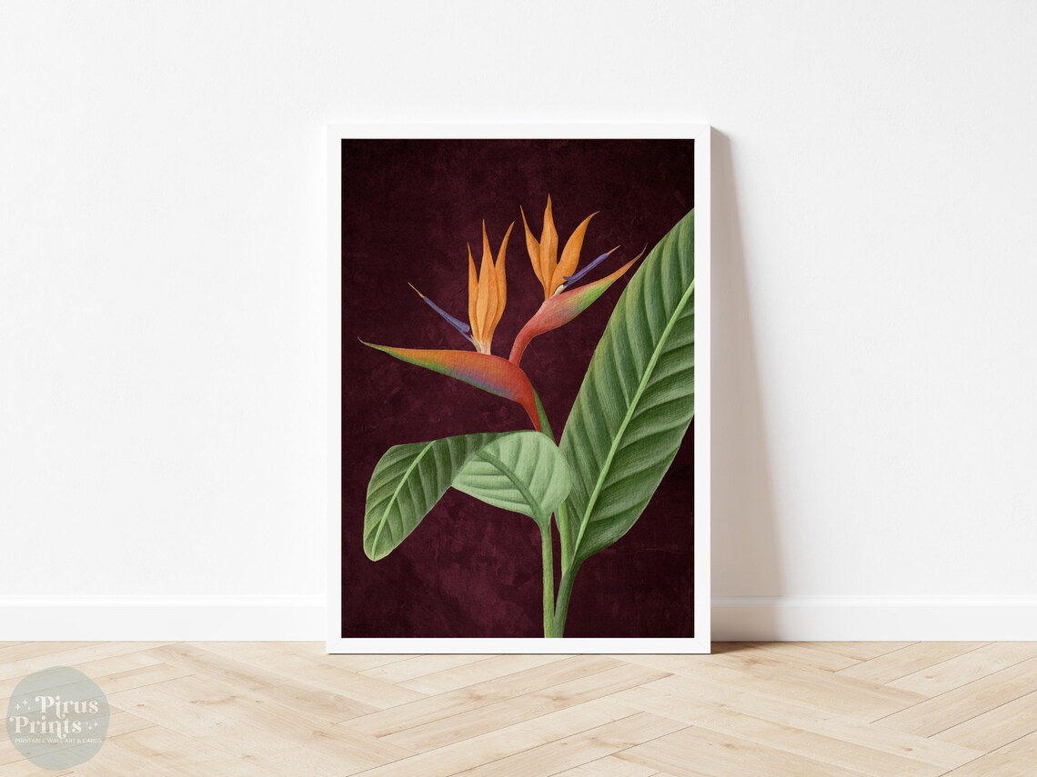 Dramatic Bird Of Paradise Botanical Burgundy Vintage Wall Art - Image 4