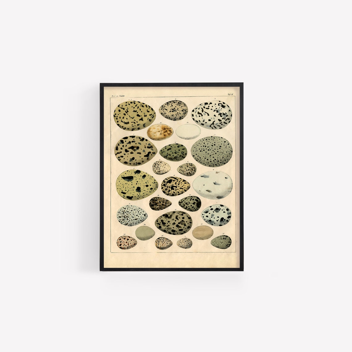 Vintage Egg Illustration Print Easter Wall Art Vintage Easter Decor Farmhouse Decor Vintage Wall Art Digital Download - Image 2