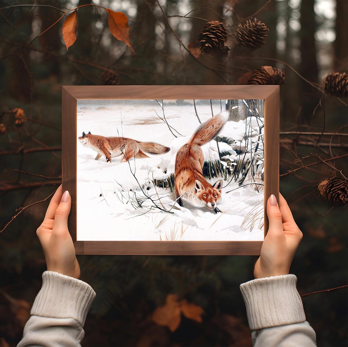 Red Foxes Playing in Snow Vintage Wildlife Winter Animal Poster - Image 2