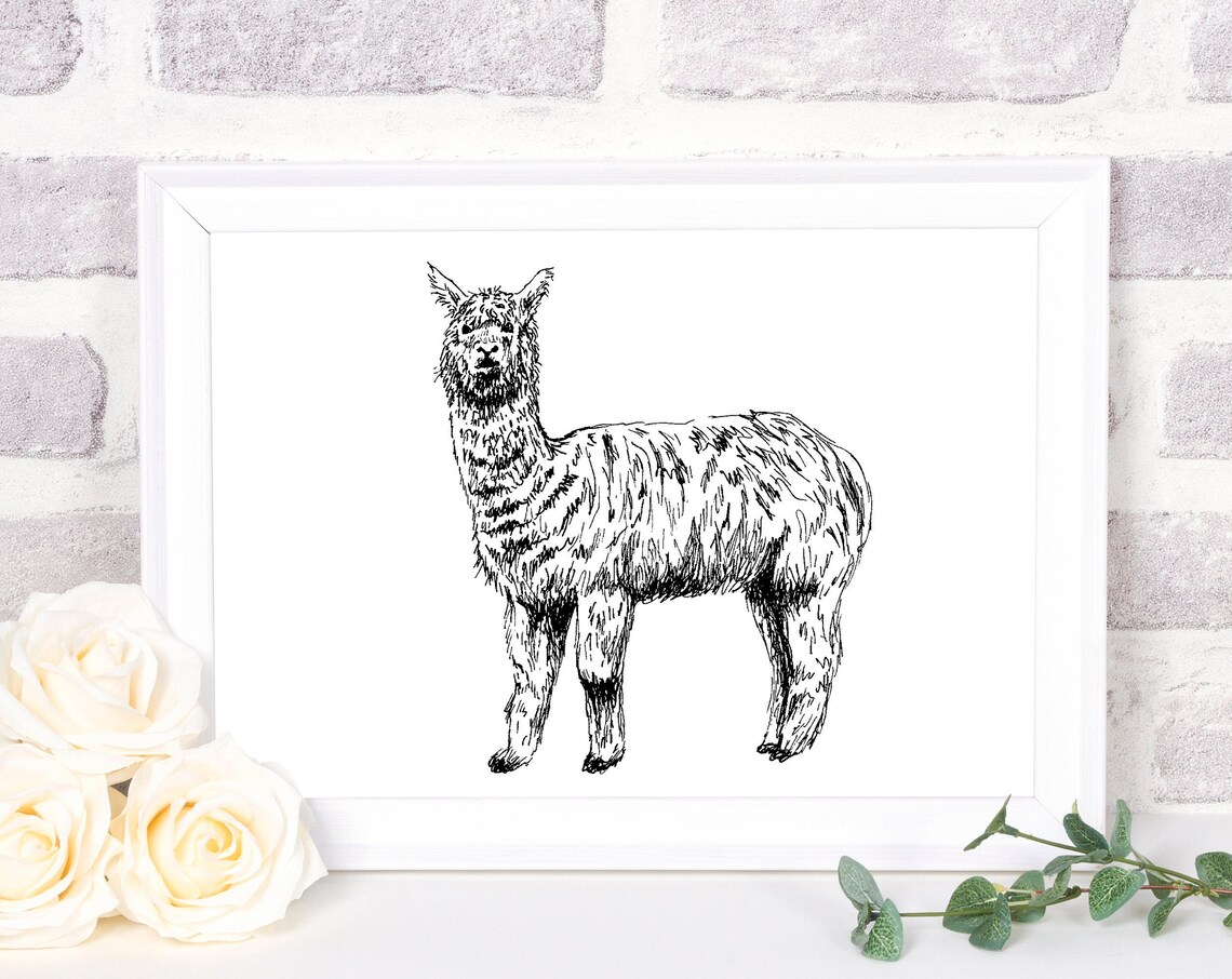 Llama Ink Sketch Minimalist Black White Farm Animal Line Print
