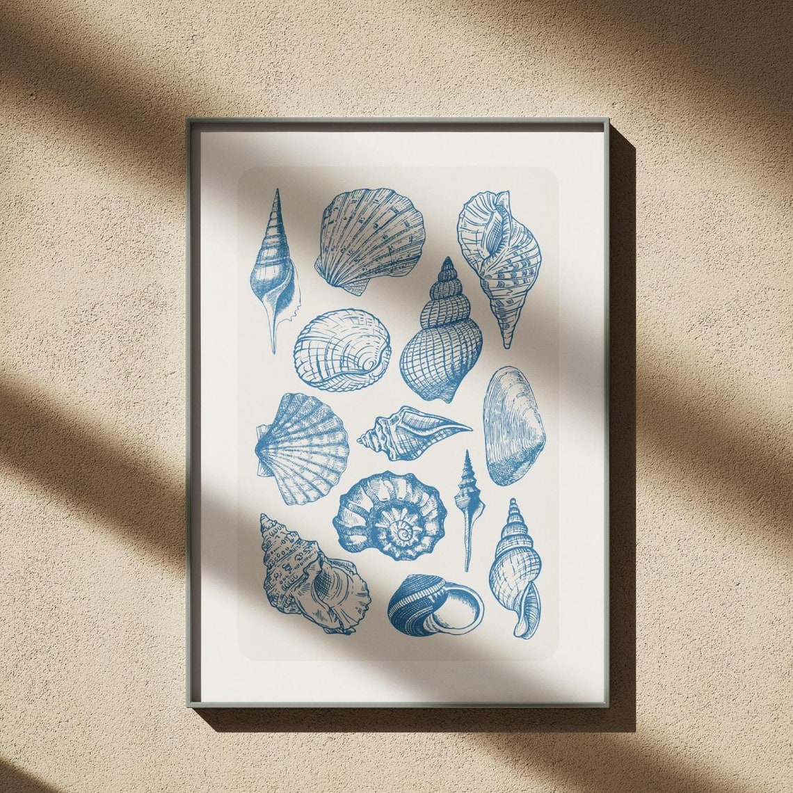 Vintage Blue Seashell Sketch Line Art Coastal Beach Wall Decor Poster