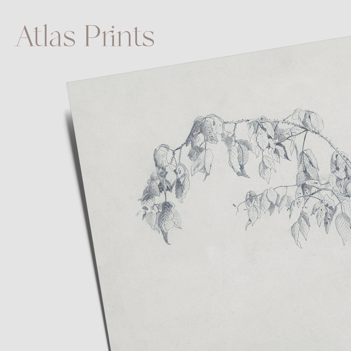 Minimalist Pencil Sketch Leafy Branch Botanical Drawing Neutral Poster - Image 2