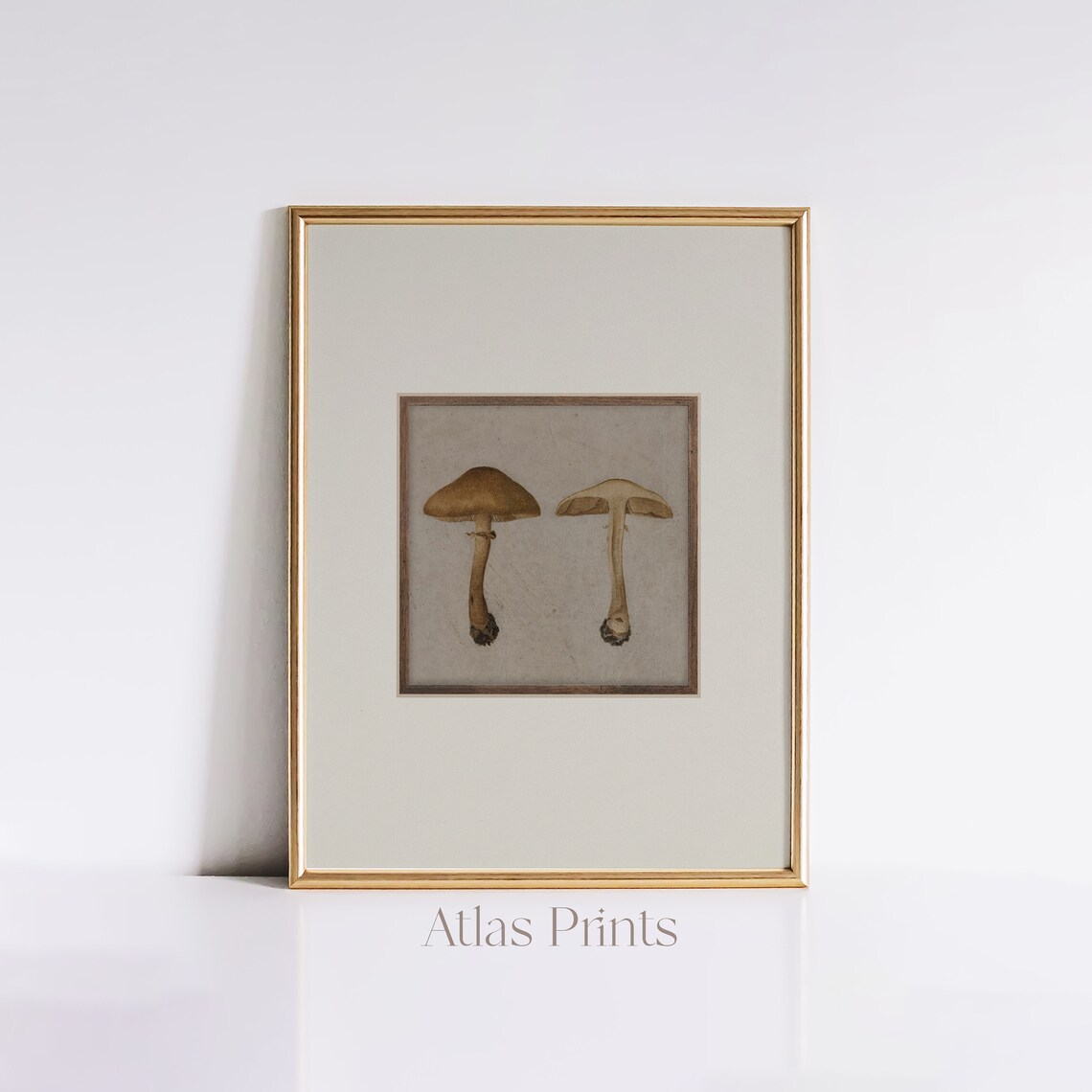 Vintage Botanical Mushroom Study Pair Antique Nature Art Poster - Image 5