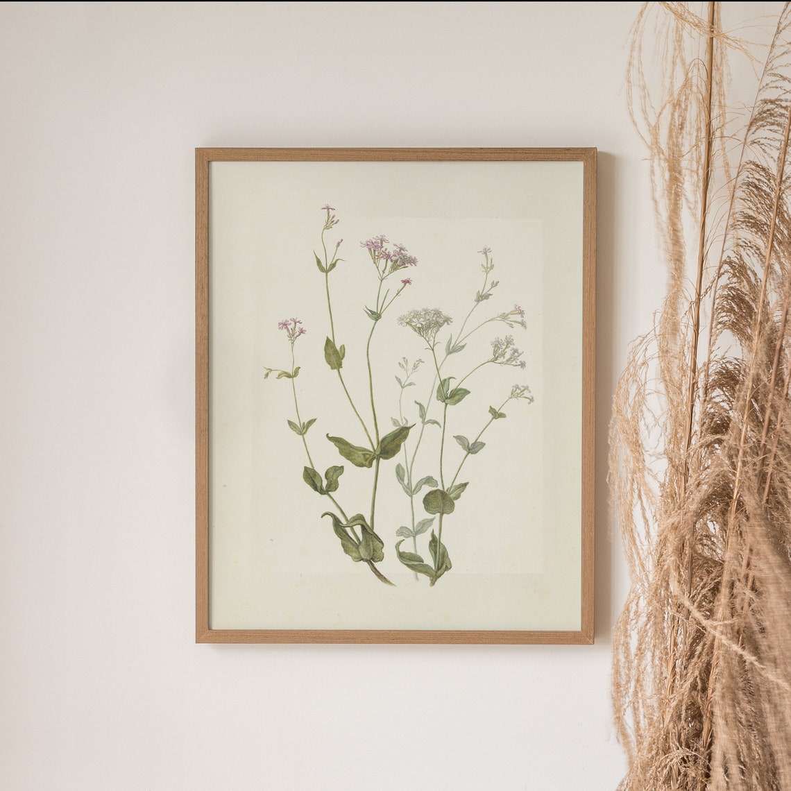 Vintage Wildflower Botanical Study Pink Blossoms On Cream Paper Poster - Image 3