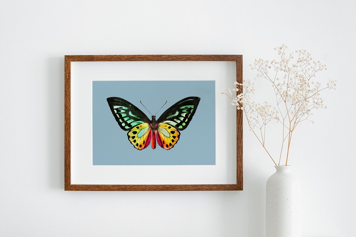 Vintage Butterfly Illustration, Fall Decor Art Print - Image 3