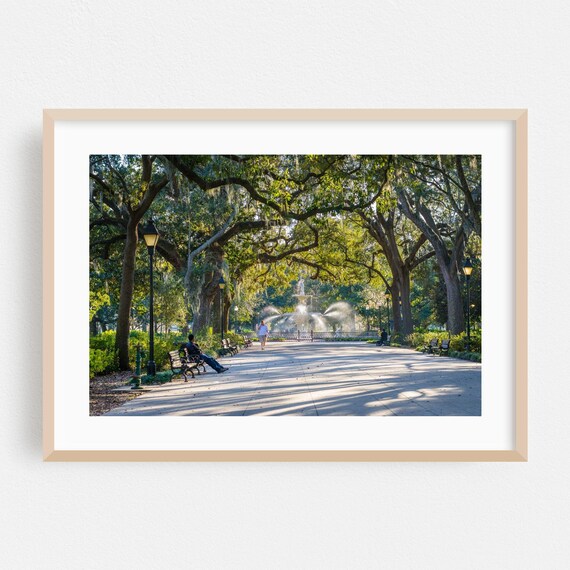 Savannah Georgia Forsyth Park Fountain Oak Trees Photography Poster