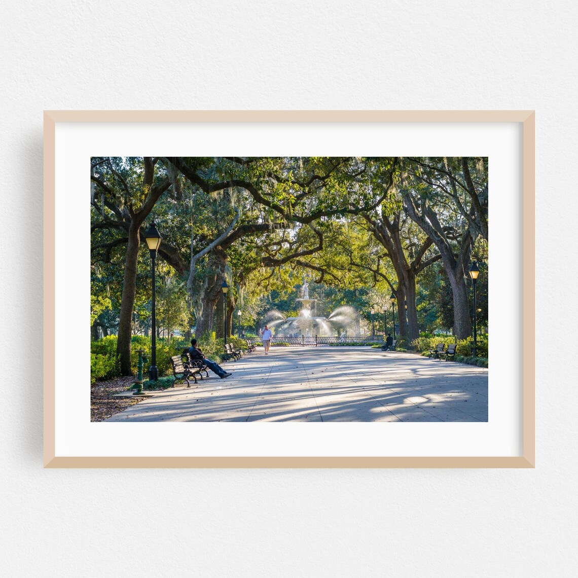Savannah Georgia Forsyth Park Fountain Oak Trees Photography Poster