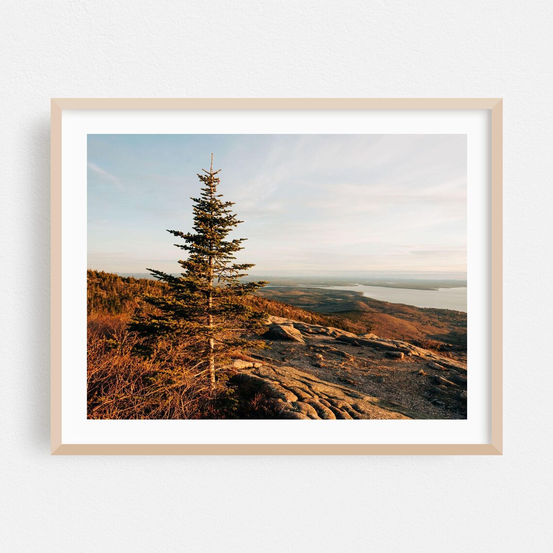 Maine Pine Summit Golden Sunset Mountain Lake Landscape Photo Poster