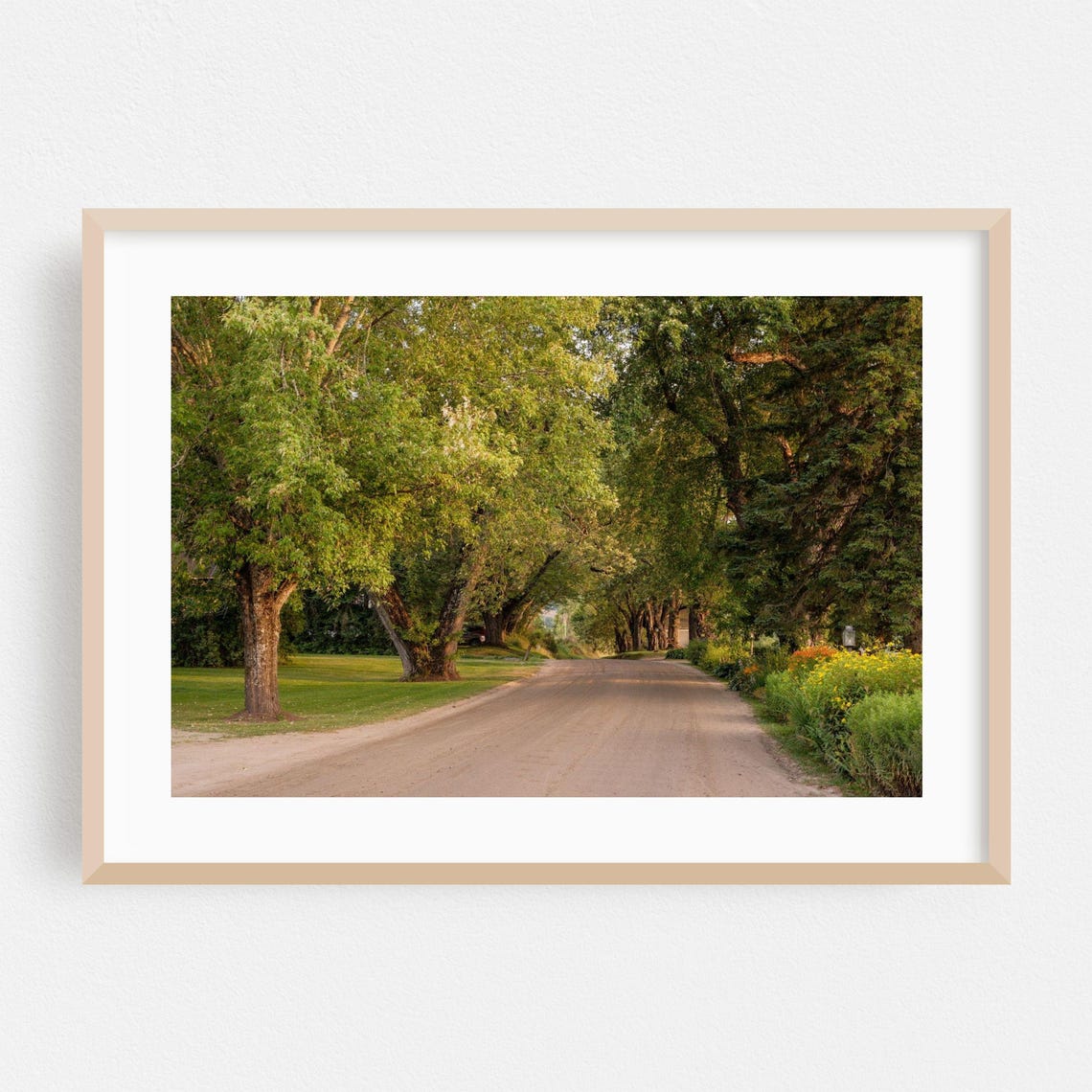 Country Dirt Road Beneath a Lush Green Tree Canopy Summer Art Print