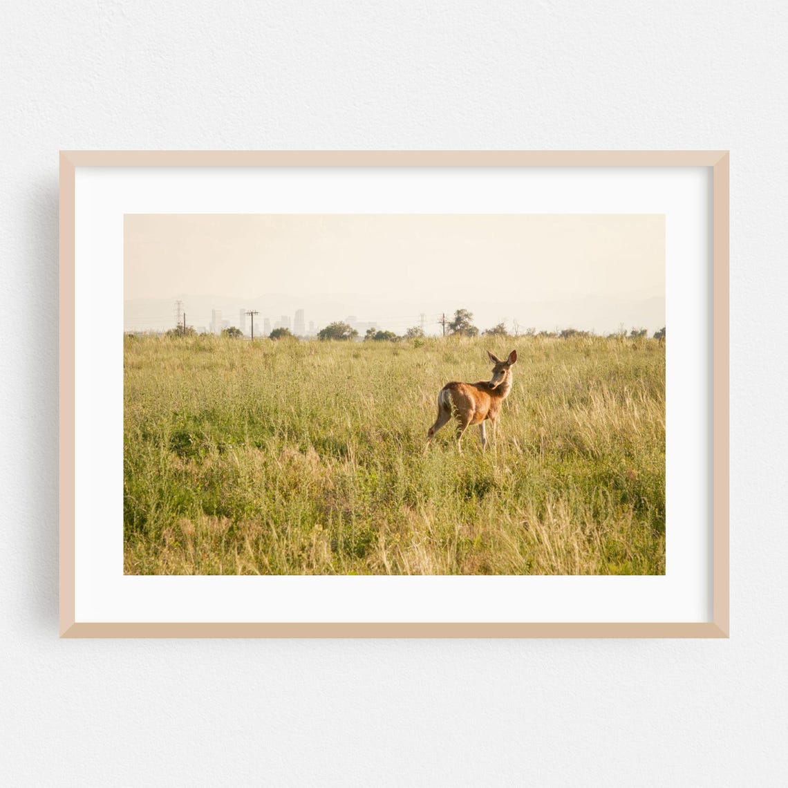 Deer In Golden Grass With Distant Skyline Wildlife Wall Print