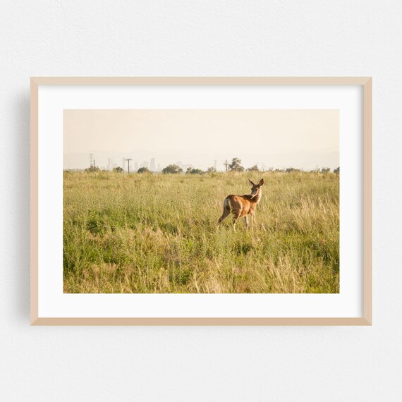 Commerce City Print Colorado Wall Art Deer Framed Wildlife Home Decor Nature Poster Landscape Fine Rural Scenic Cityscape