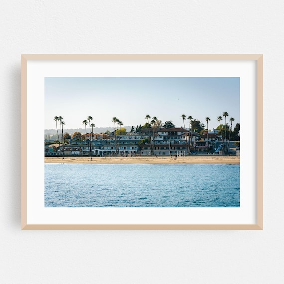 Santa Cruz Beach Oceanfront Homes Palm Trees Coastal Photography Poster
