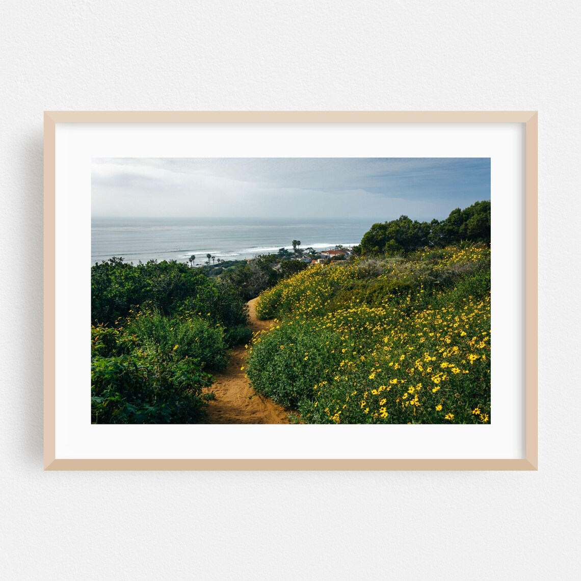 San Diego Coastal Wildflower Trail Ocean View Nature Photo Poster