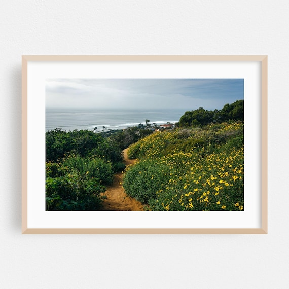 San Diego Coastal Wildflower Trail Ocean View Nature Photo Poster