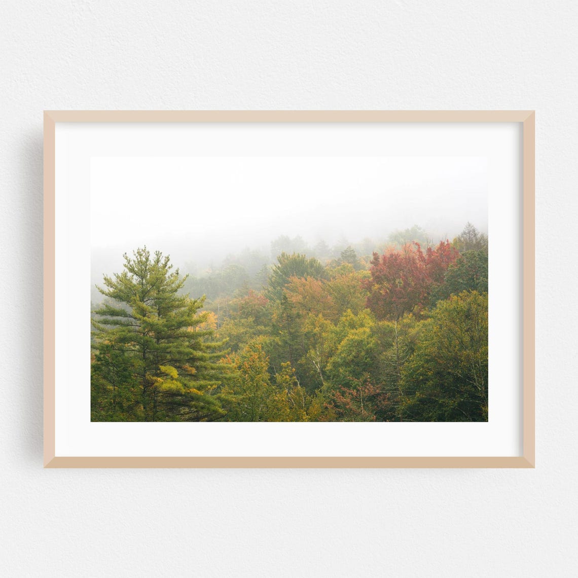 New York Autumn Forest Misty Fall Colors Fine Art Photo Poster