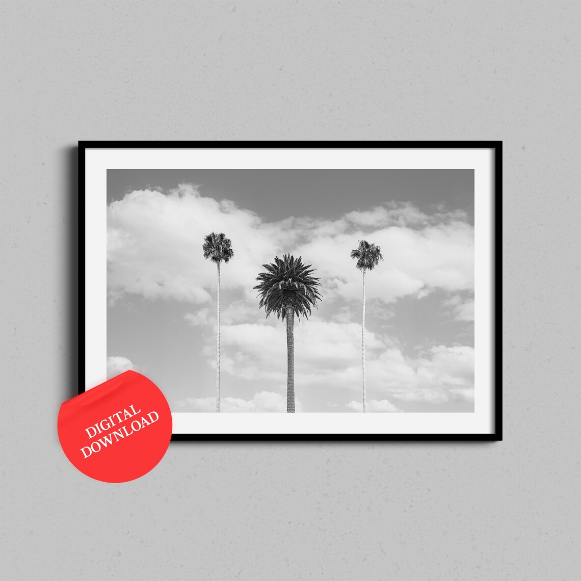 Palm Trees Against Cloudy Sky Black and White Photography Poster