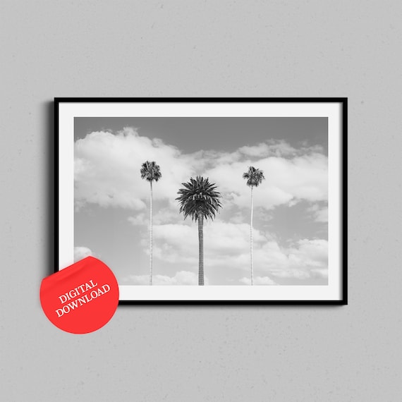 Palm Trees Against Cloudy Sky Black and White Photography Poster
