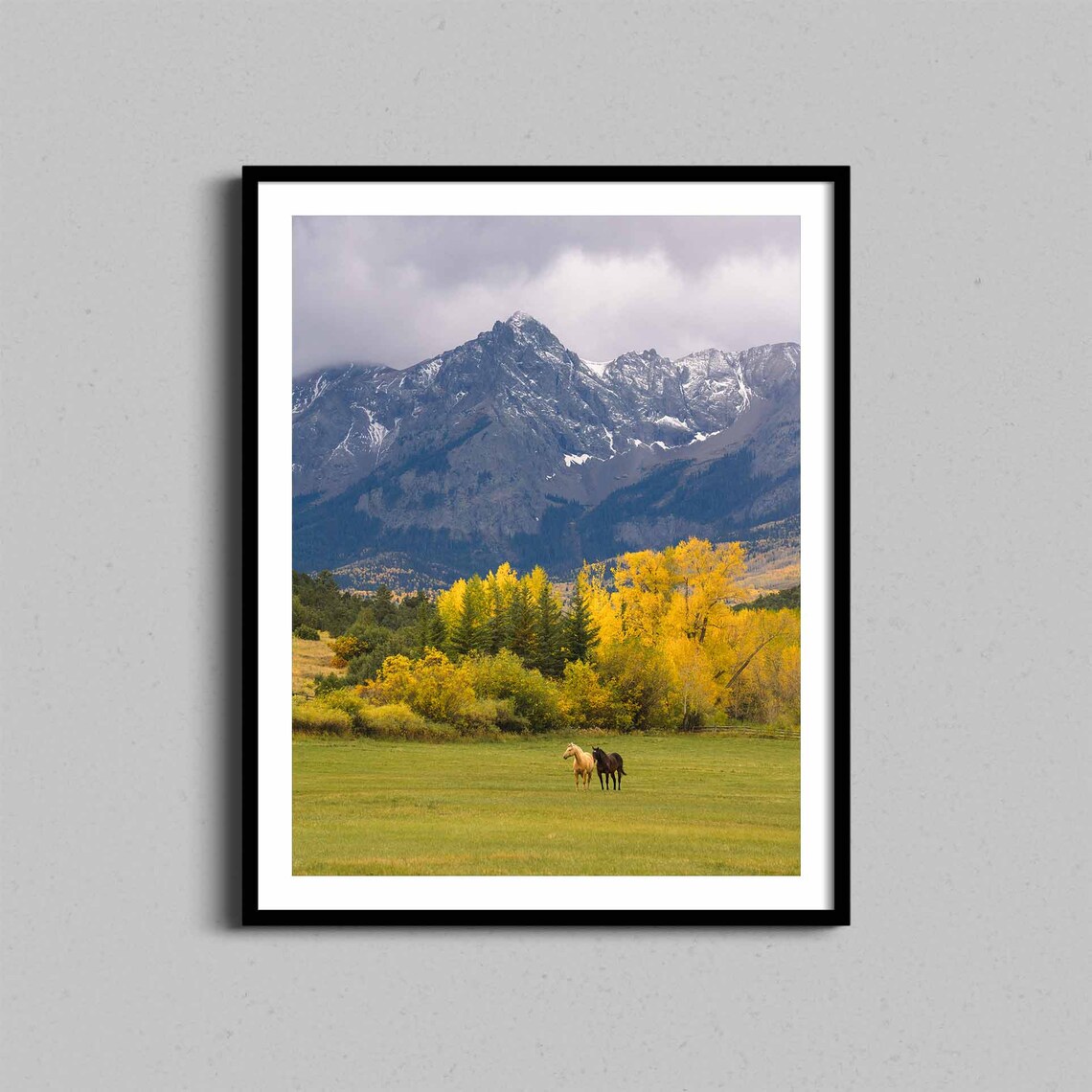 Horses And Mountains, Colorado Autumn Art Print