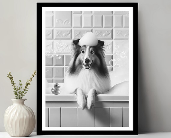 Collie Wall Art Funny Bathroom Decor Pet Portrait Petshop Dog Gift In Bubble Bath