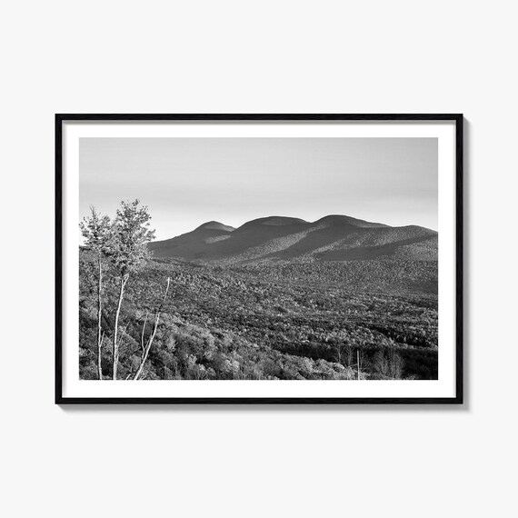 Catskill Mountains New York Forested Peaks Black And White Poster