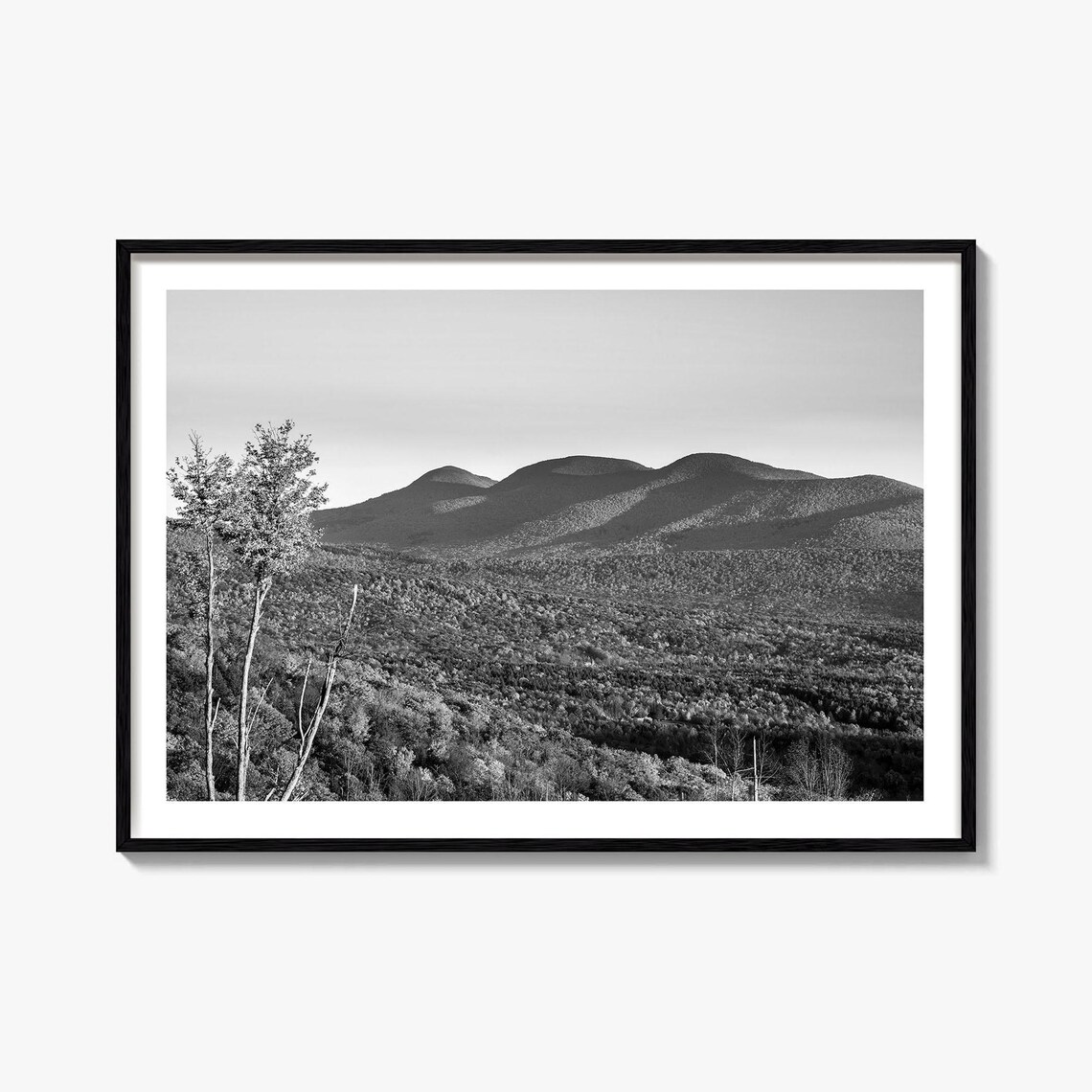 Catskill Mountains New York Forested Peaks Black And White Poster